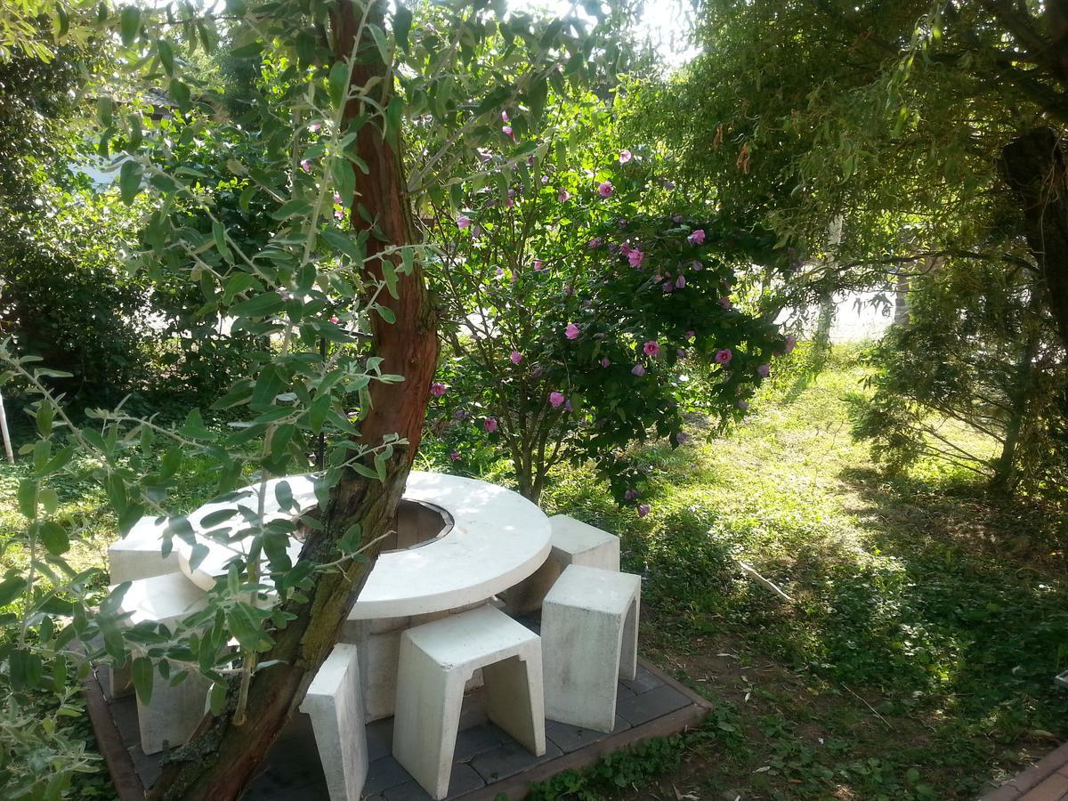 Felso Fogado Bed & Breakfast Felsotold ภายนอก รูปภาพ